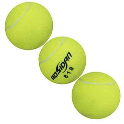 Теннисный мяч Рыжий кот AN01044